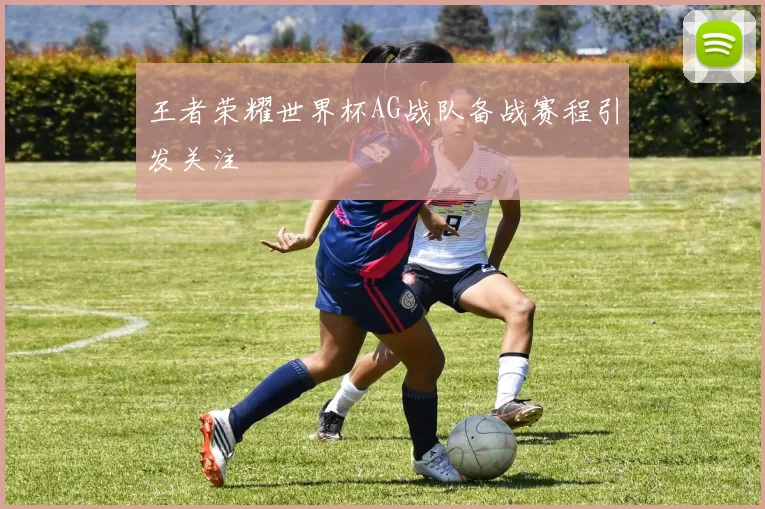 王者荣耀世界杯AG战队备战赛程引发关注